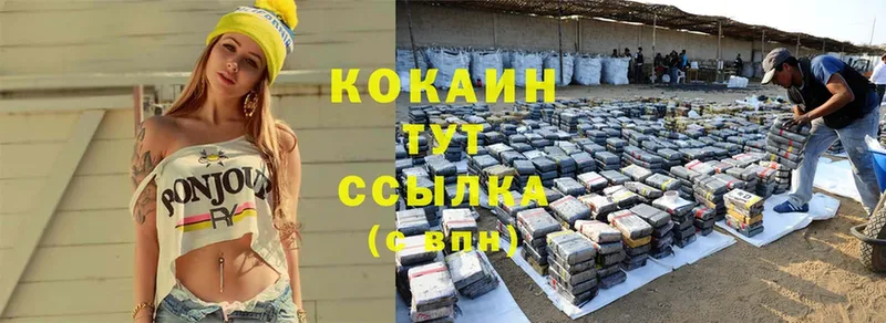 Cocaine Эквадор  купить закладку  Куртамыш 