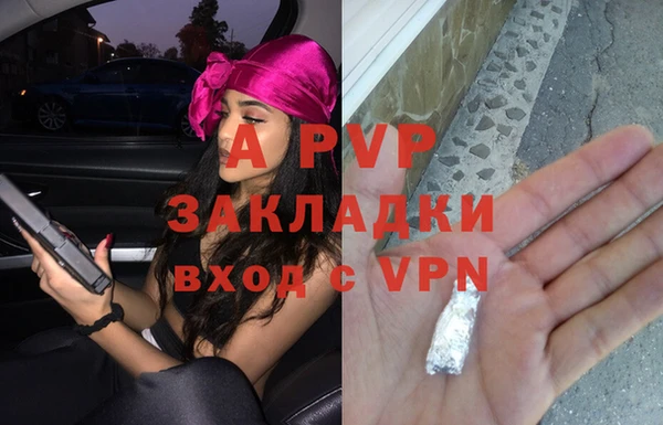 спиды Нефтекумск